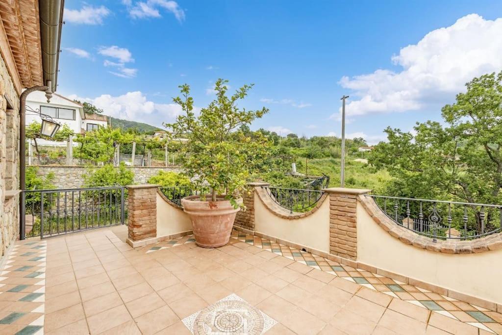 La Villa Di Nonna Angela Пишотта Экстерьер фото